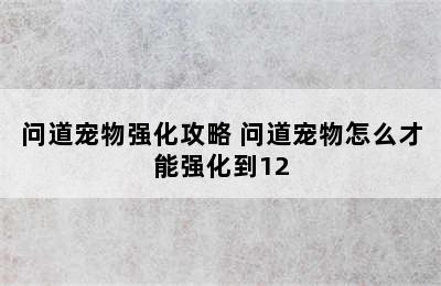 问道宠物强化攻略 问道宠物怎么才能强化到12